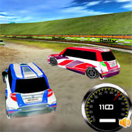 Rally Expedition 3D
