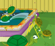 Turtle Pool